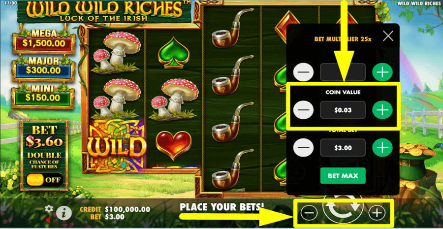 Wild Wild Riches Coin Value