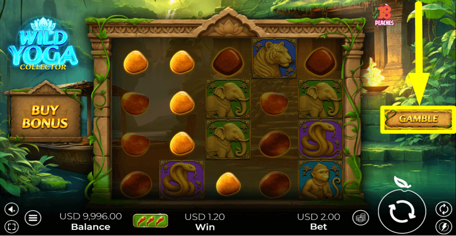 Wild Yoga Collector Gamble Feature