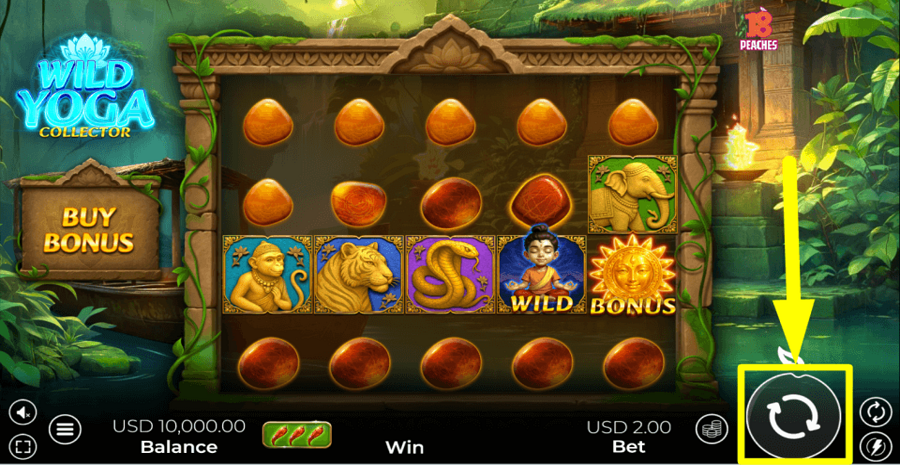 Wild Yoga Collector Spin Button
