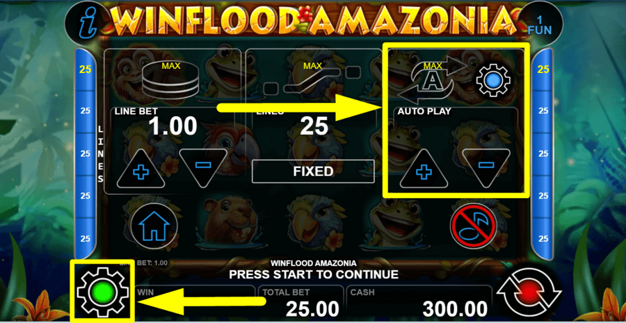 Winflood Amazonia Autoplay Feature
