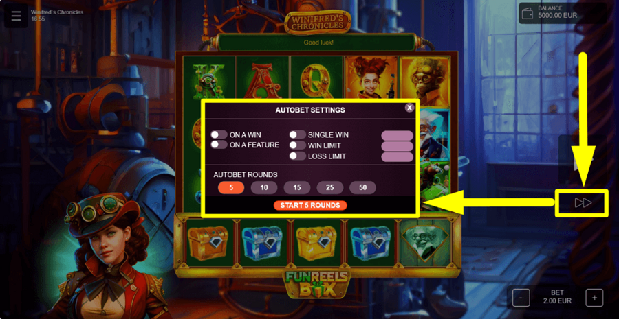 Winifreds Chronicles Autoplay Feature