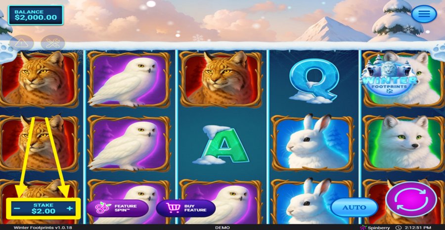 Winter Footprints Adjust Bet