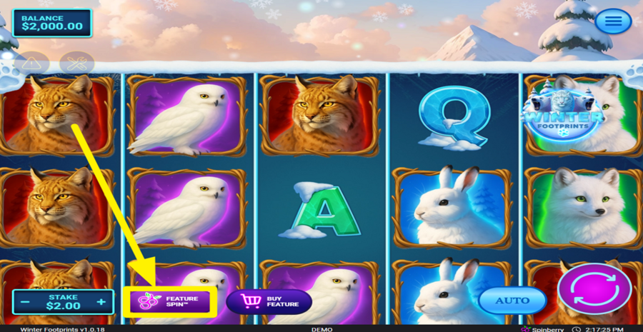 Winter Footprints Feature Spin