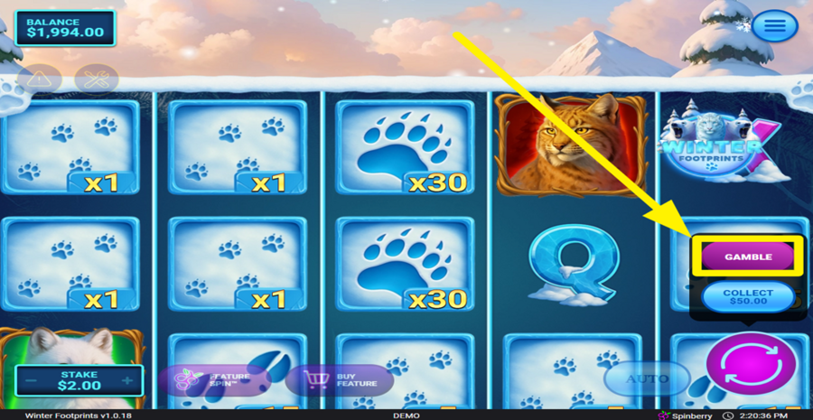 Winter Footprints Gamble