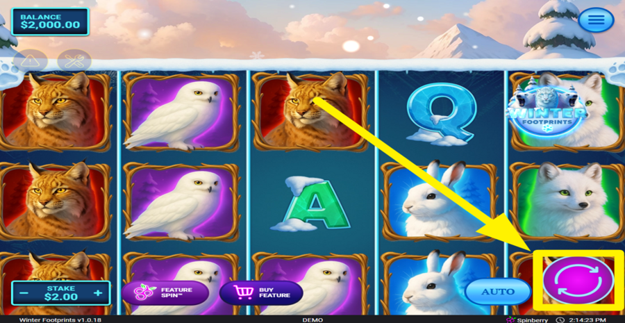 Winter Footprints Spin