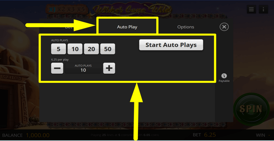 Wishes Gone Wild Autoplay Feature
