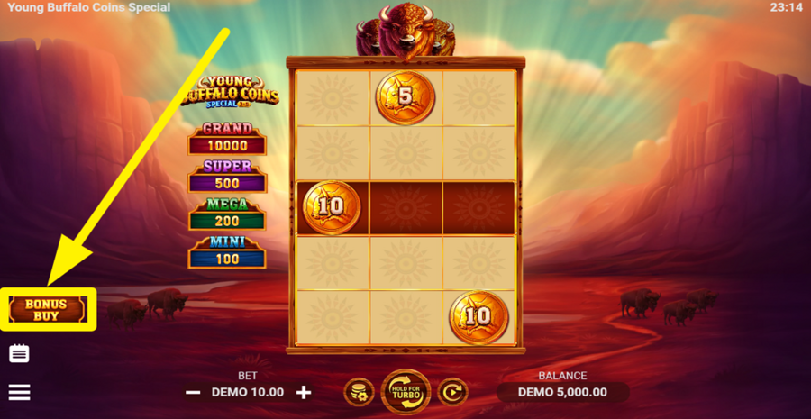 Young Buffalo Coins Special Buy Bonus