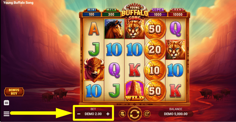 Young Buffalo Song Bet Value