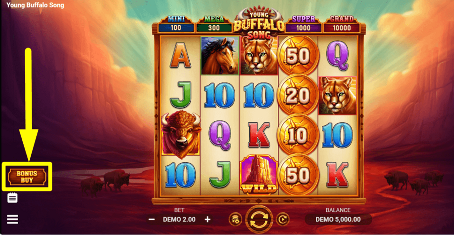 Young Buffalo Song Buy Feature