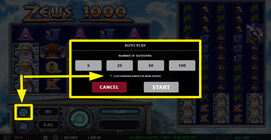 Zeus 1000 Autoplay Feature