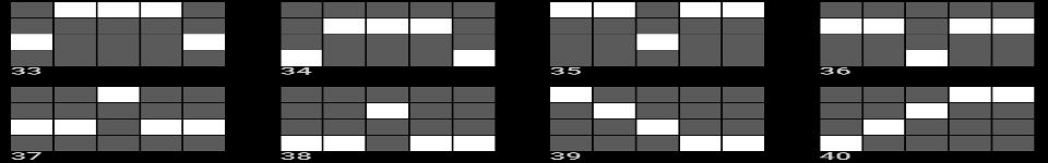anderthals paylines 5