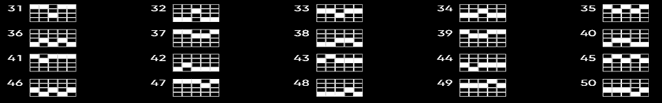 buffalo 50 paylines 3