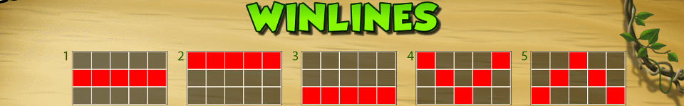 chameleonaire paylines 1