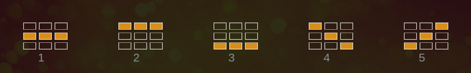 double joker hold and win paylines 1