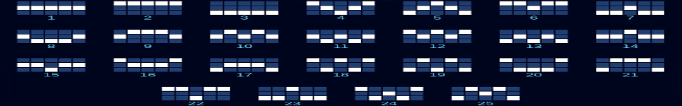 infinite wilds payline