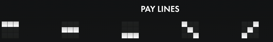 lucky patrick coins hold and win paylines