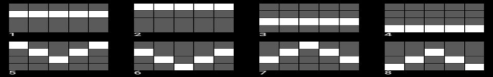 western gold 2 paylines 1