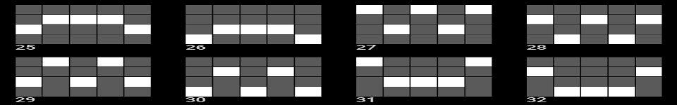 western gold 2 paylines 4
