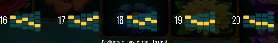 wild blooms paylines 4
