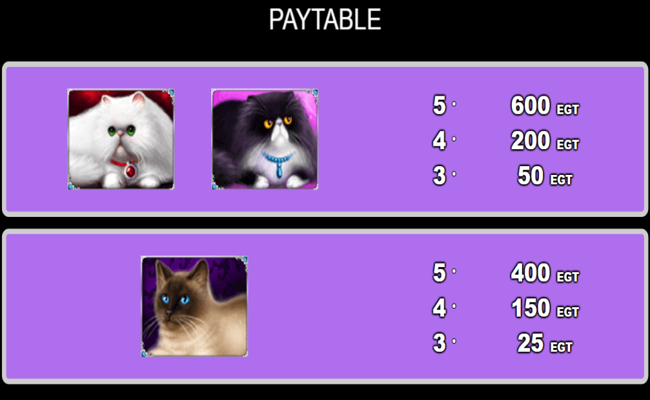100 cats paytable