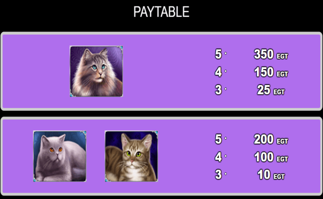 100 cats paytable2