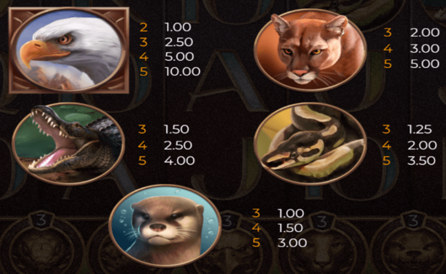 15 armadillo paytable 2