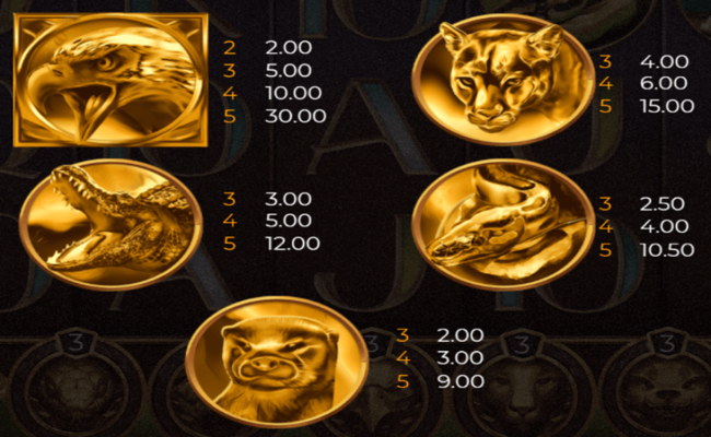 15 armadillo paytable 4