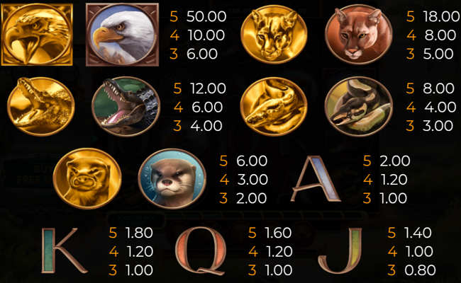20 armadillos paytable 1