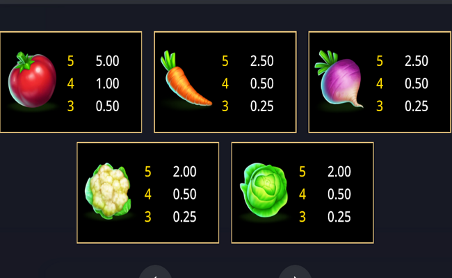 5 on the farm rush express paytable 2