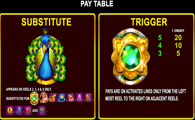 adorned peacock paytable 1