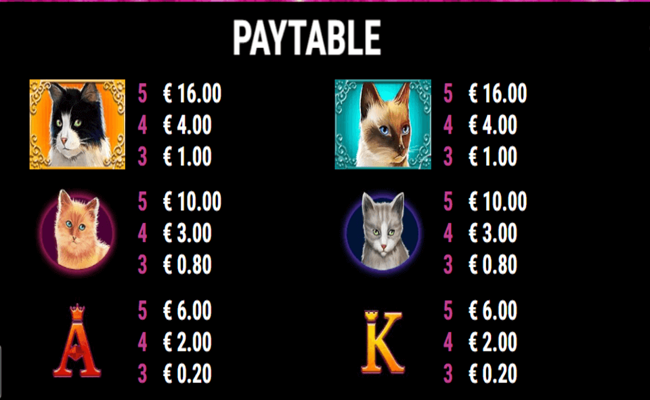 cutie cat paytable