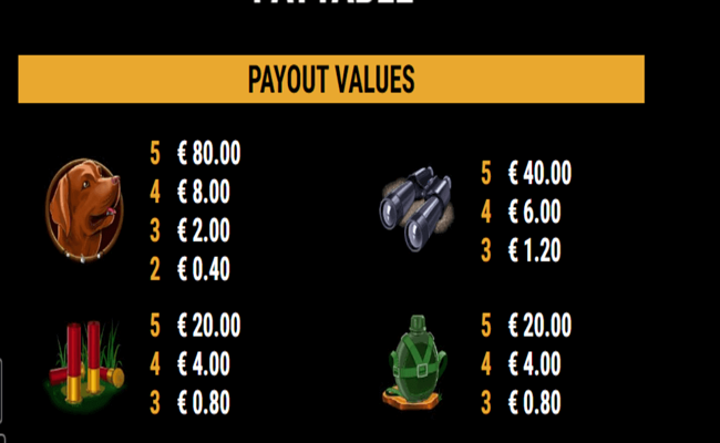 duck shooter paytable