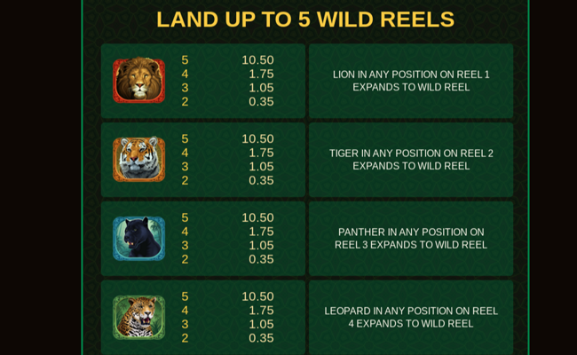 exotic cats paytable 1