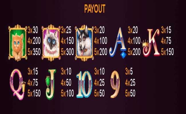 hollywood pets paytable 2