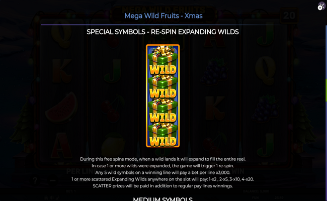 mega wild fruits xmas paytable 2