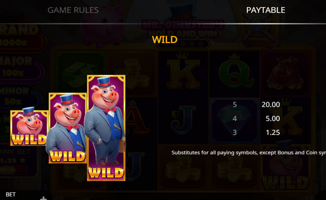 mr oinksters hold and win paytable 2