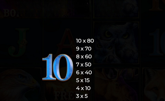 night wolf frozen flames paytable 5