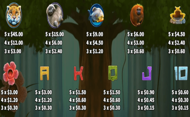 primeval rainforest paytable