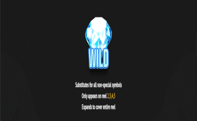 reel diamonds paytable4