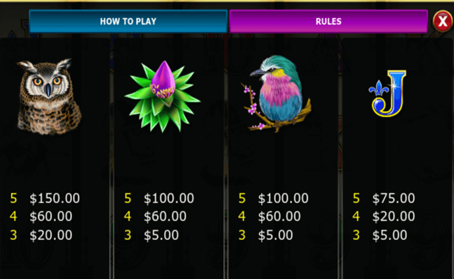 rich n wild paytable3