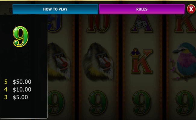 rich n wild paytable4