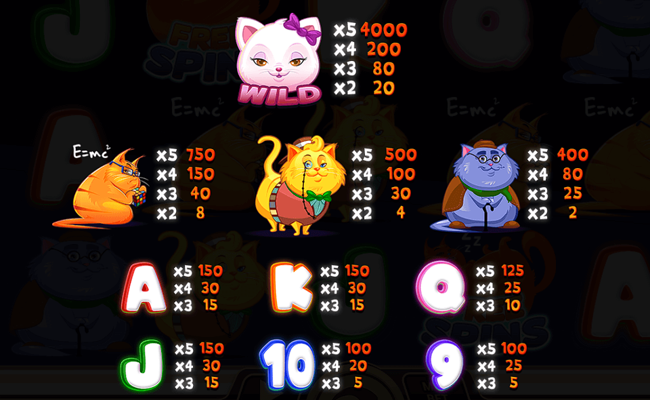secret life of cats paytable