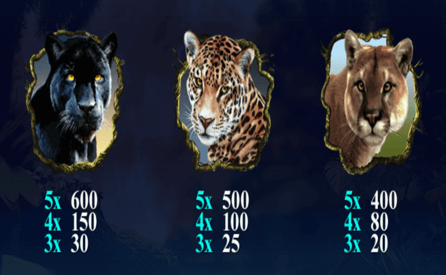 secrets of the amazon paytable2