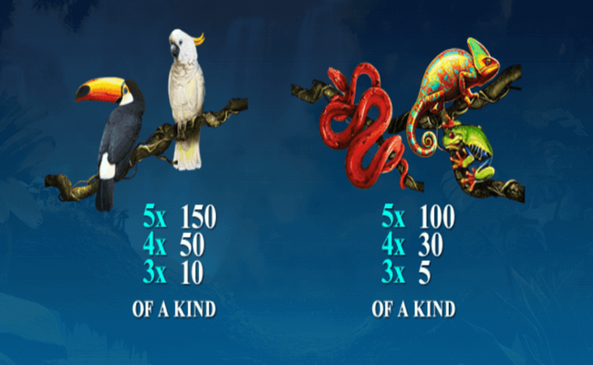 secrets of the amazon paytable3