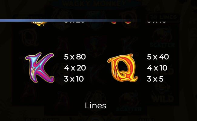 wacky monkey paytable 4