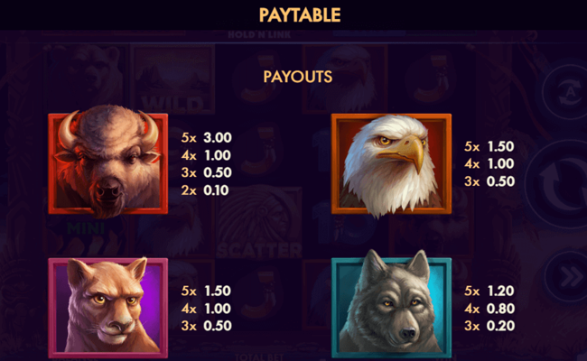 wild buffalo hold n link paytable