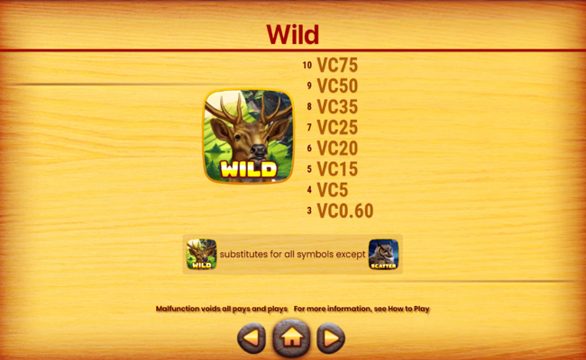 wild flow paytable 1