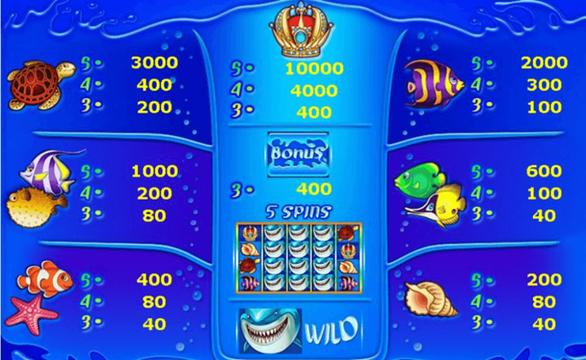 wild shark paytable 2