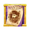 amazing link bounty wanted scatter symbol