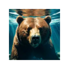 bear spirit bounty retrigger scatter symbol